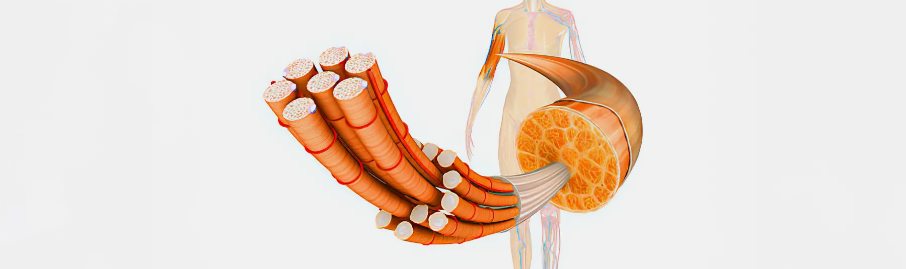 Tog3ther Cours De Yoga En Ligne Marseille 13012 Banner 124